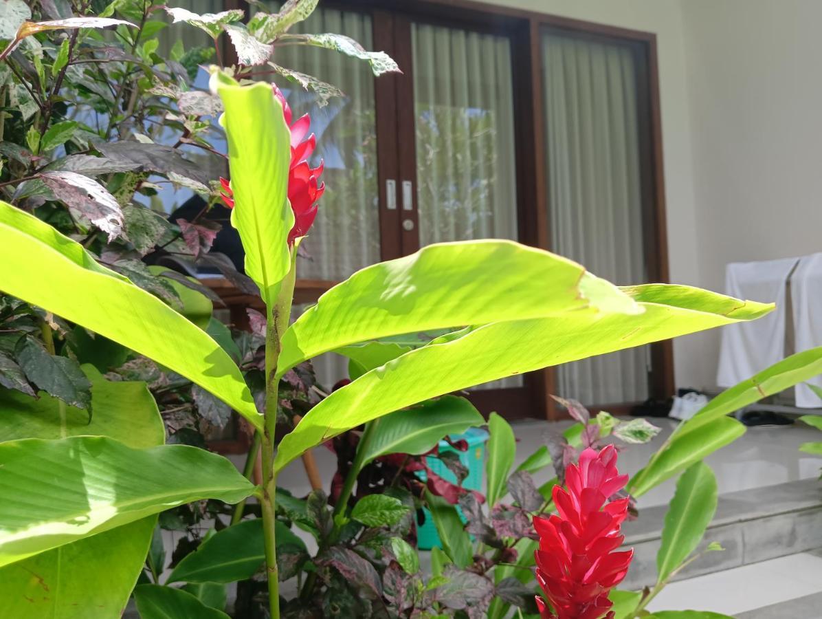 Kama Ayu Bungalow Ubud Eksteriør billede